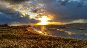 Photo by Kelly Suzanne Kelley